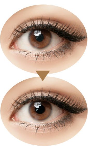  căprui lentile de contact perspectivă